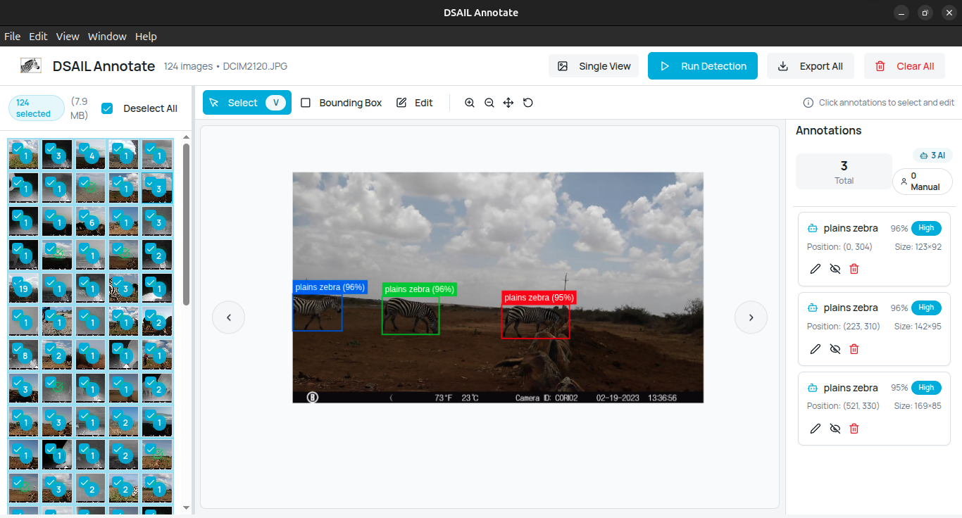 A screenshot of DSAIL-Annotate, an application in development that processes large sets of camera trap images