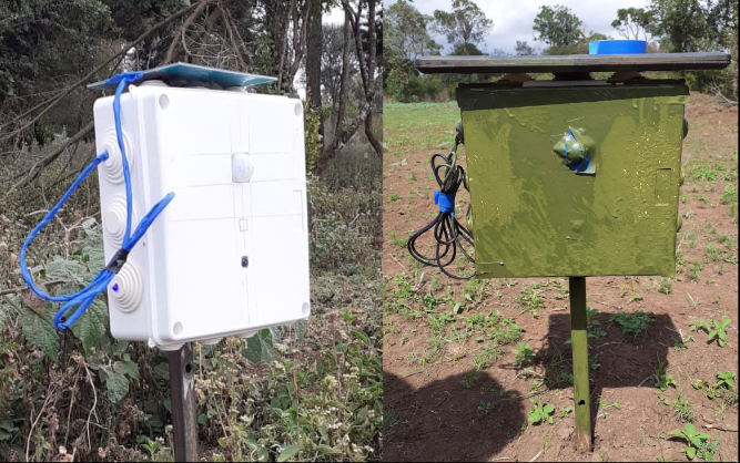 camera trap