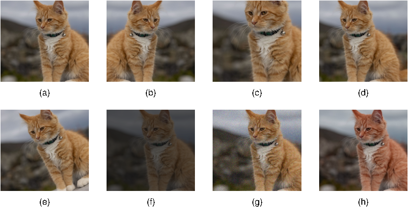 Illustration of data set augmentation, showing an original image alongside horizontal inversion, scaling, translation, rotation, brightness and contrast change, additive noise, and colour shift