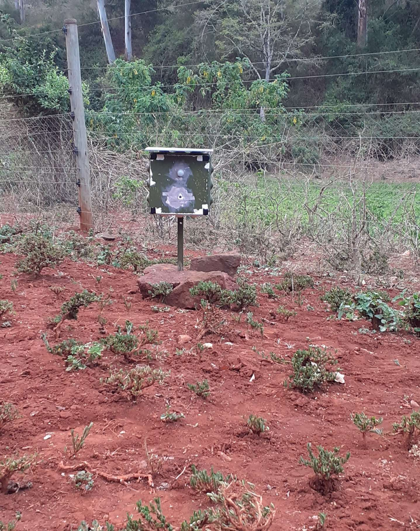 A solar-powered acoustics sensor mounted outside a university building