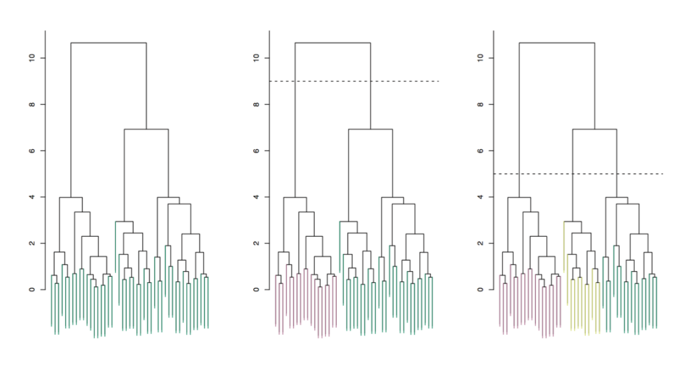 A dendrogram tree diagram showing samples fusing into branches at increasing heights of dissimilarity