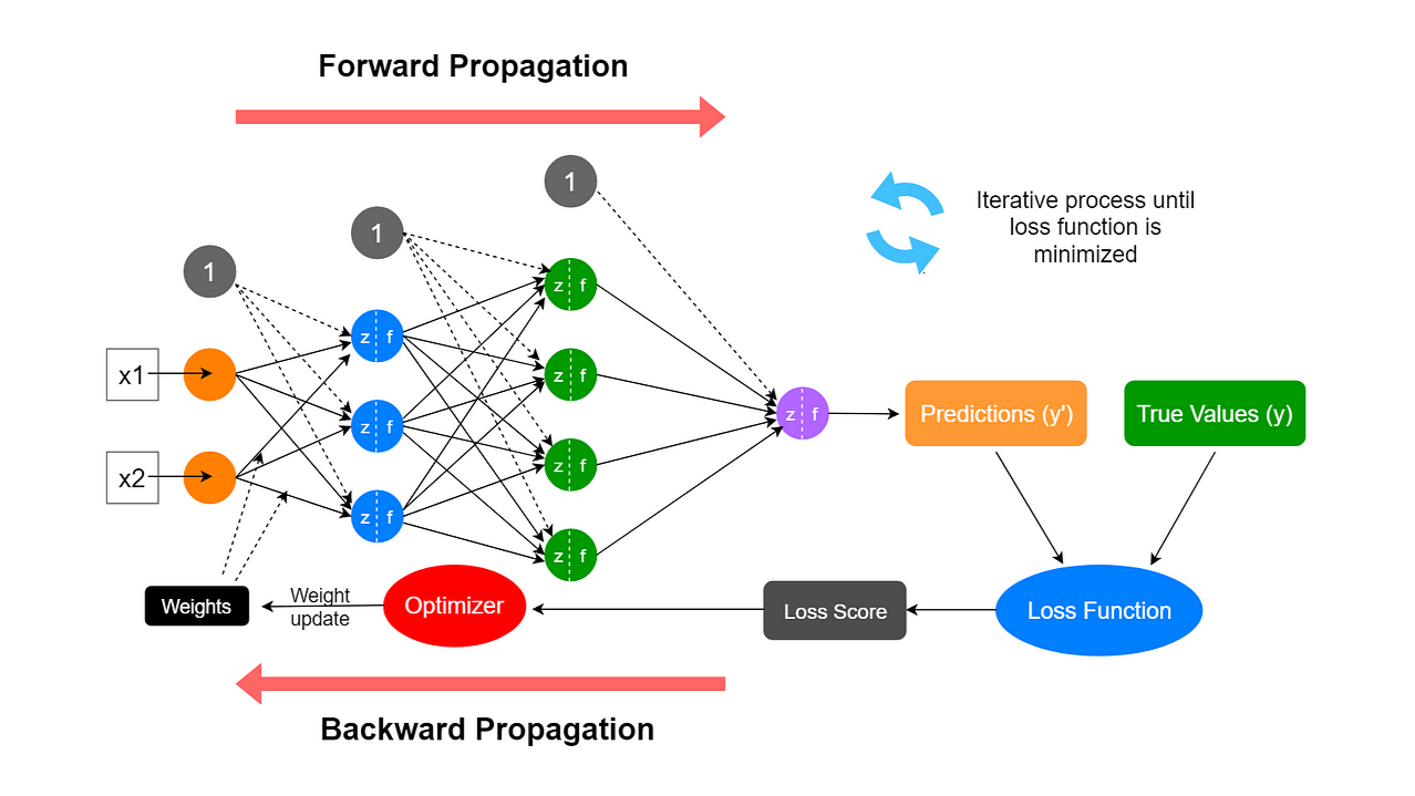 Forward pass and backward propagation in neural networks